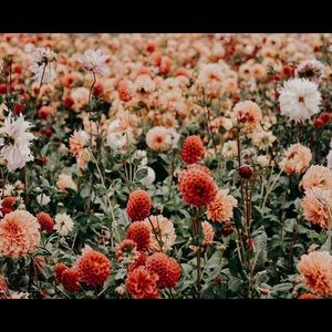 Meet your Posher, Hailey